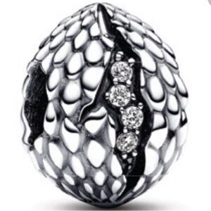 Dragon Eggs Elegant Silver Textured Charm